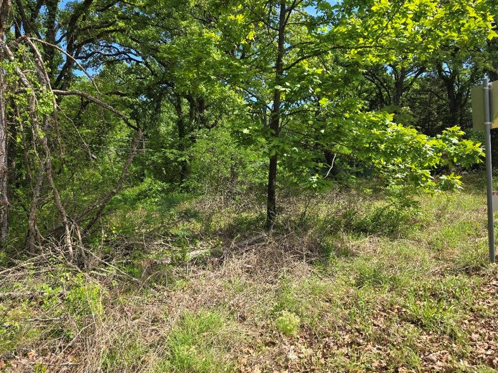 Lot 701 Shady Grove Road, Gun Barrel City, TX 75156 Lot 701 Shady Grove Road, Gun Barrel City, TX 75156