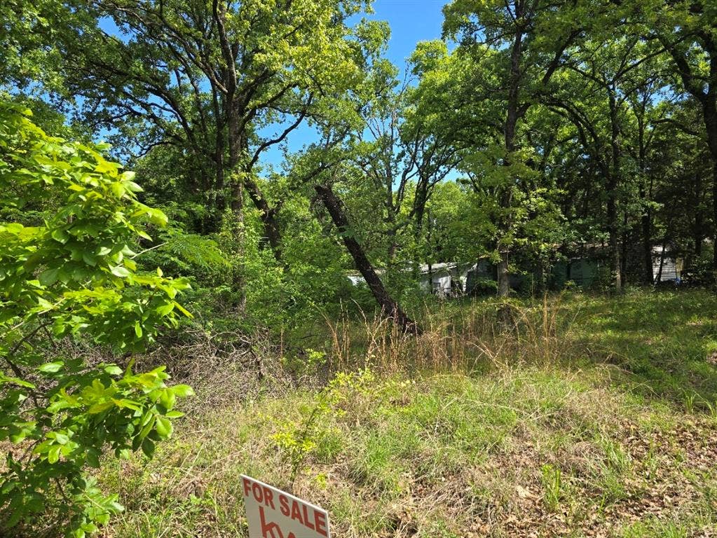Lot 701 Shady Grove Road, Gun Barrel City, TX 75156 Lot 701 Shady Grove Road, Gun Barrel City, TX 75156