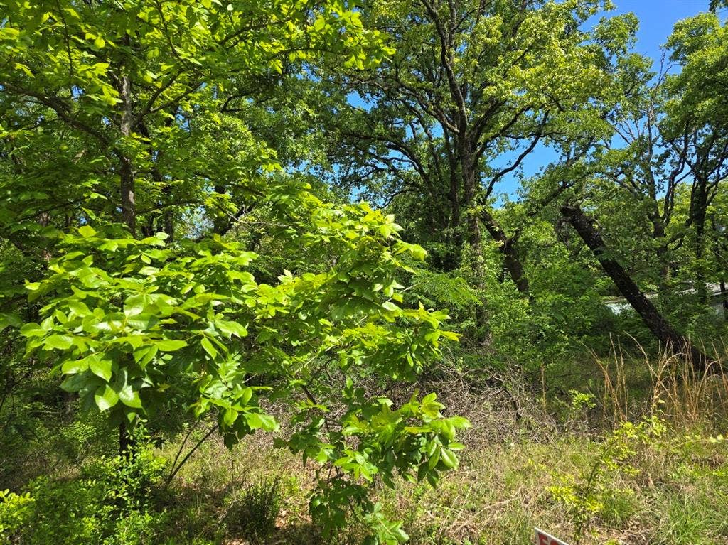 Lot 701 Shady Grove Road, Gun Barrel City, TX 75156 Lot 701 Shady Grove Road, Gun Barrel City, TX 75156