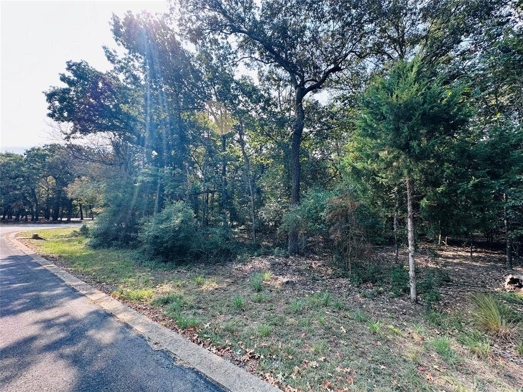36-40 Pedernales East, Athens, TX 75752 36-40 Pedernales East, Athens, TX 75752