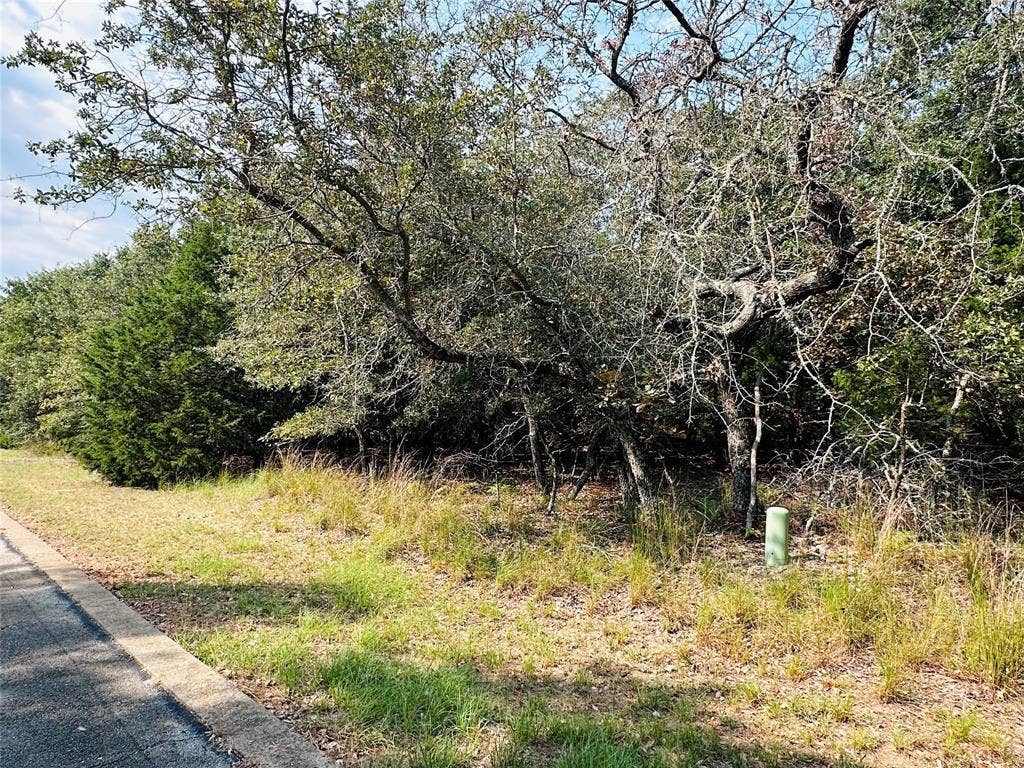 36-40 Pedernales East, Athens, TX 75752 36-40 Pedernales East, Athens, TX 75752