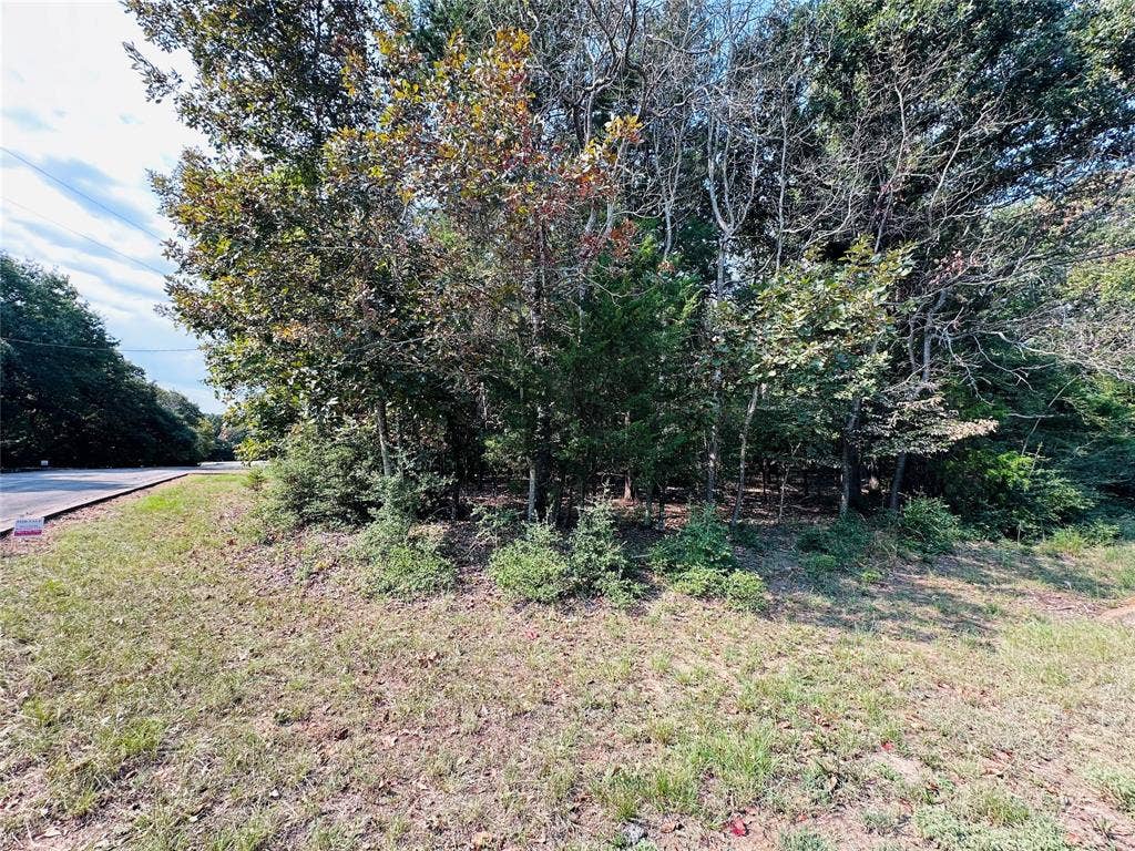 36-40 Pedernales East, Athens, TX 75752 36-40 Pedernales East, Athens, TX 75752