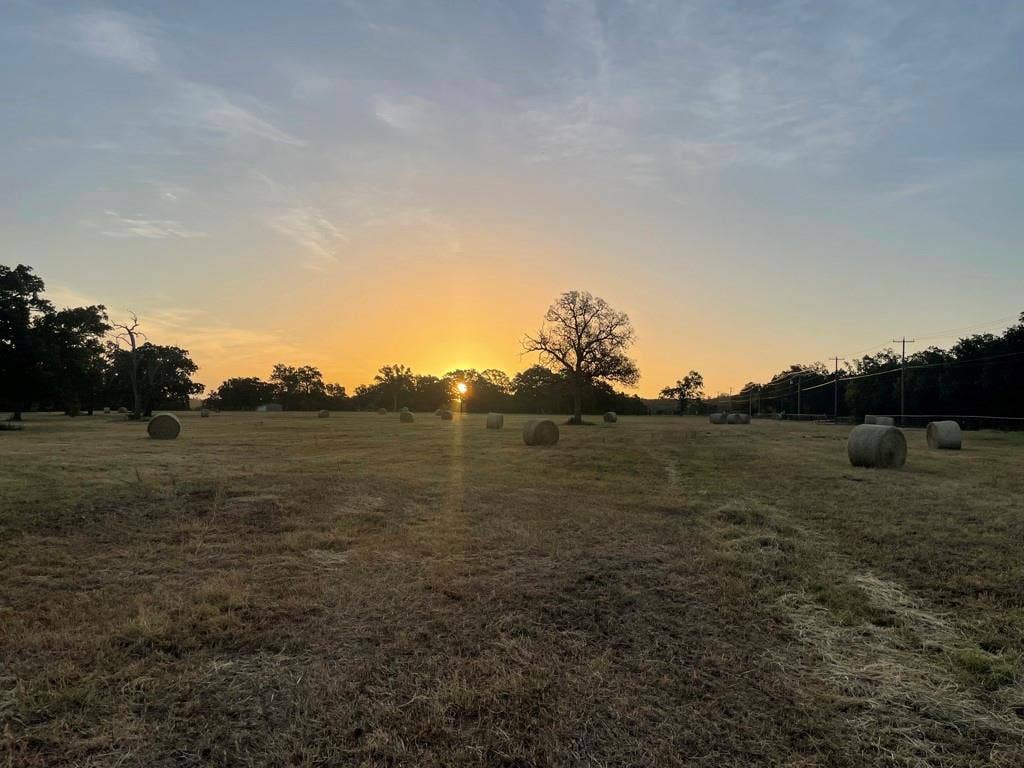 Lot 36 CR 1200, Athens, TX 75751 Front Pasture