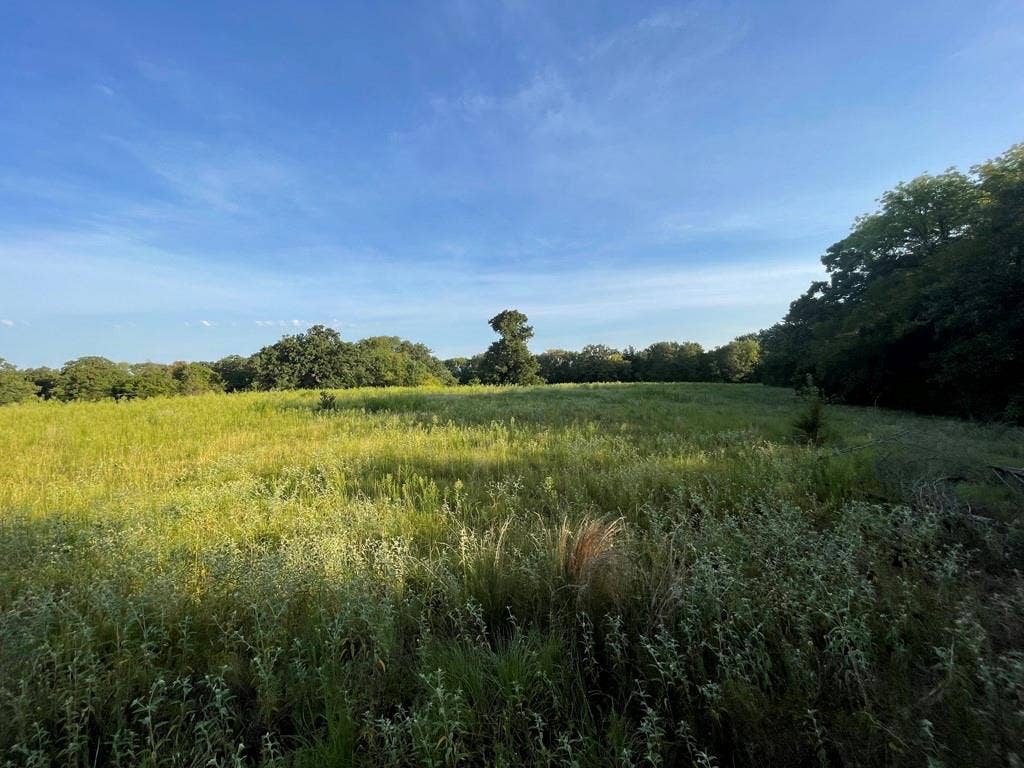Lot 36 CR 1200, Athens, TX 75751 Back Pasture