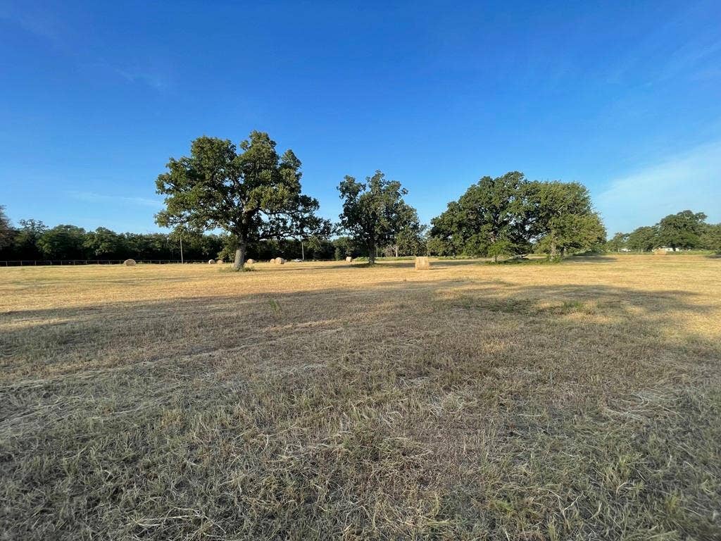 Lot 36 CR 1200, Athens, TX 75751 Front Pasture