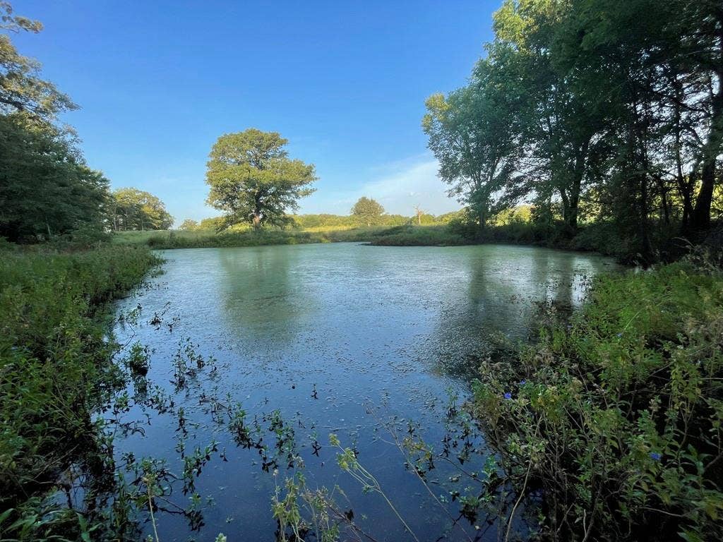 Lot 36 CR 1200, Athens, TX 75751 Pond