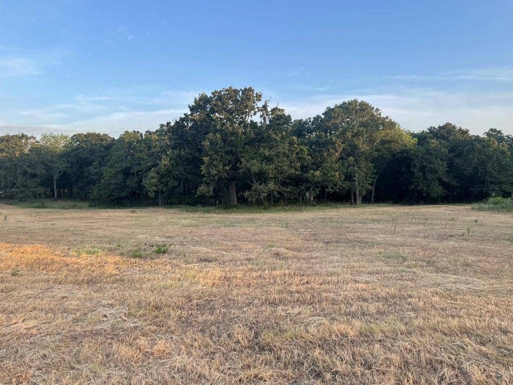 Lot 36 CR 1200, Athens, TX 75751 Front Pasture
