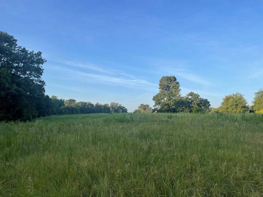 Lot 36 CR 1200, Athens, TX 75751 Back Pasture