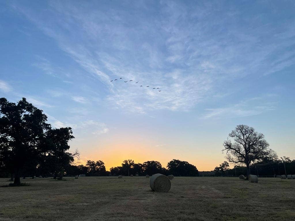 Lot 36 CR 1200, Athens, TX 75751 Front Pasture Sunrise