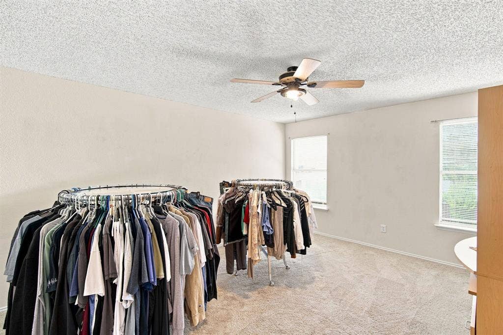 Carpeted room with a ceiling fan and two windows