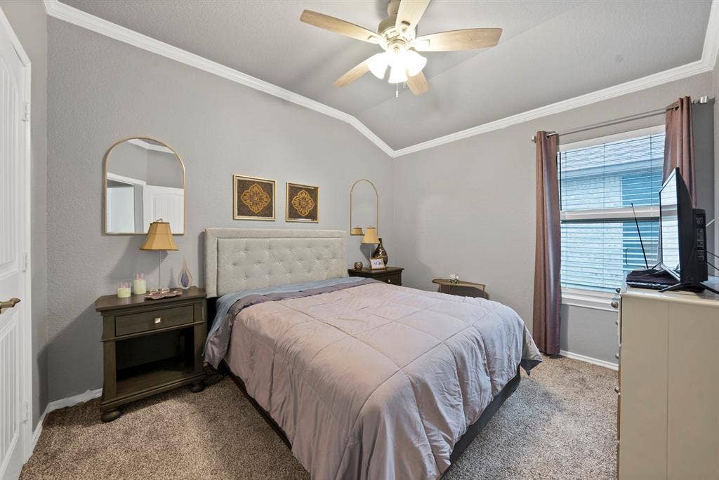 Vaulted ceiling with crown molding, ceiling fan, carpeted flooring, and a window with blinds