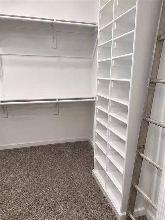 703 E Oates Road, Garland, TX 75043 Built-in shelving, two levels of hanging rods, and carpet flooring