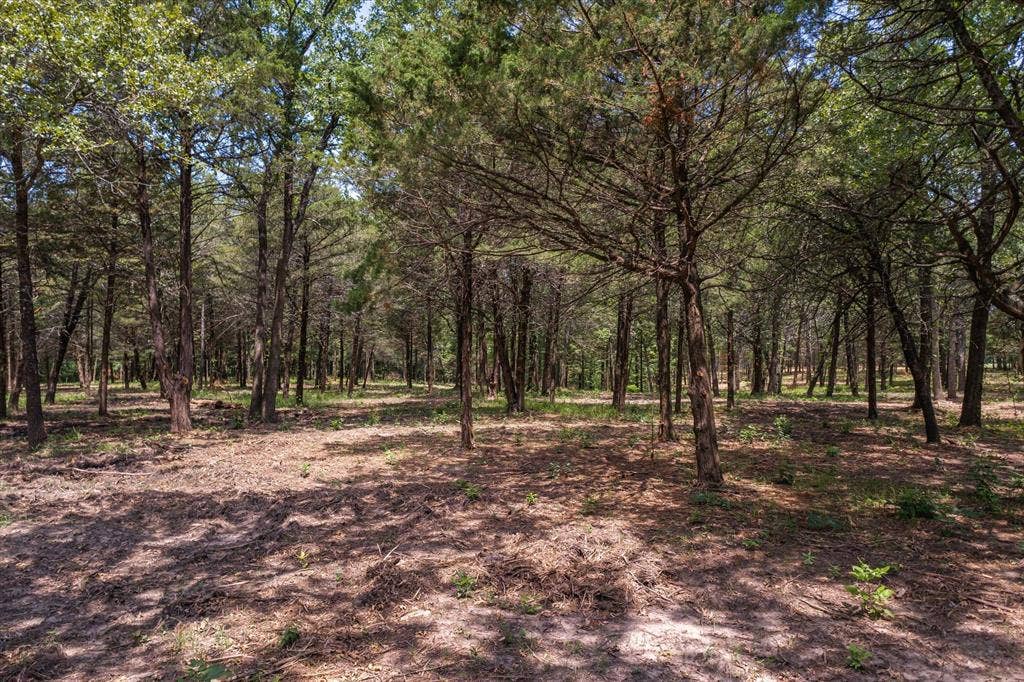 4423 County Road 3706, Wills Point, TX 75169 4423 County Road 3706, Wills Point, TX 75169