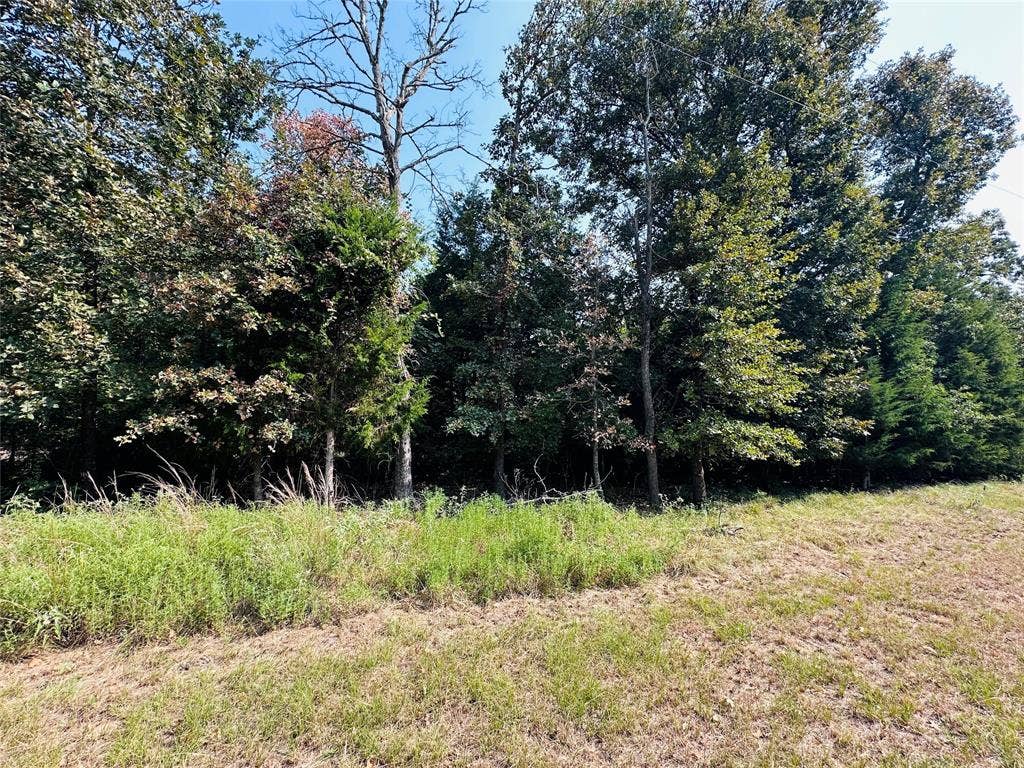 12-14 Pedernales North, Athens, TX 75752 12-14 Pedernales North, Athens, TX 75752