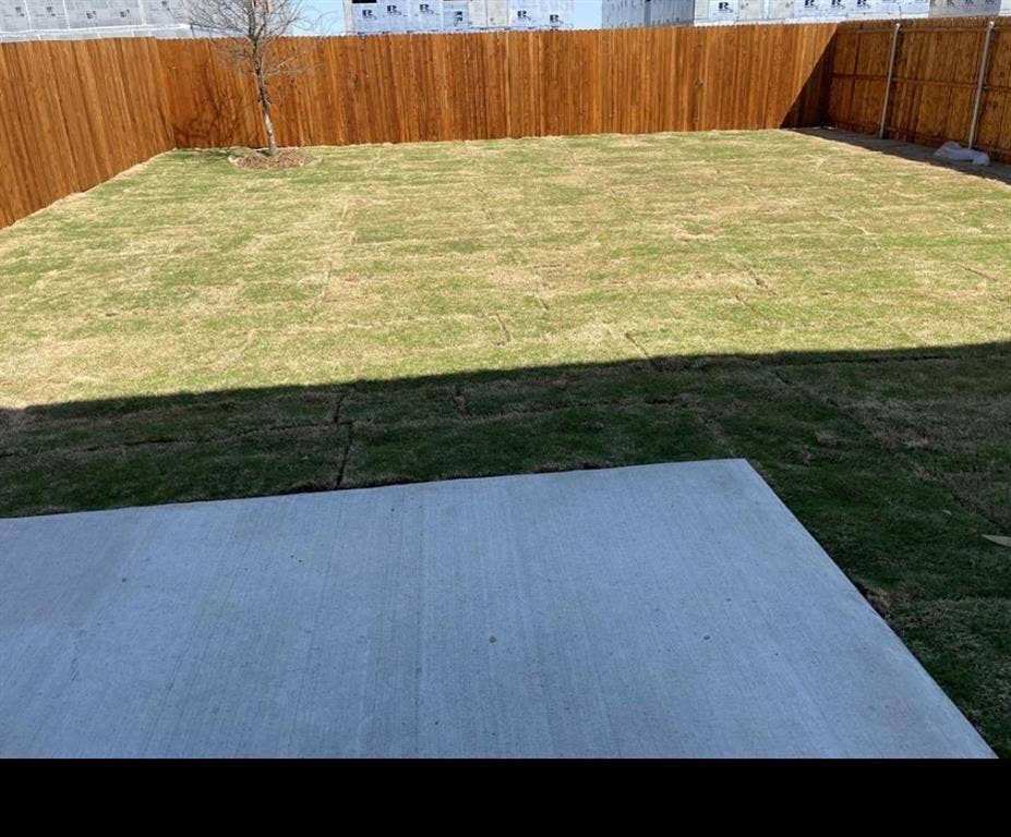 1903 Marquette Drive, Princeton, TX 75407 Expansive backyard with a concrete patio, wood privacy fencing, and a mature tree