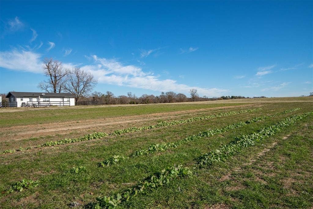 8612 Fm 1616, Athens, TX 75752 8612 Fm 1616, Athens, TX 75752