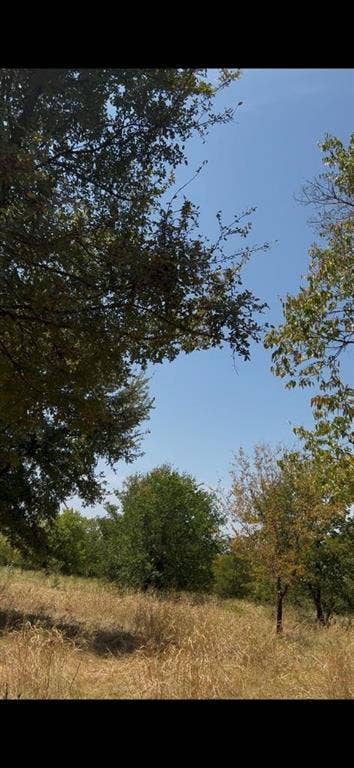 Property photo for 103234 Hillside Circle, Lone Oak, TX
