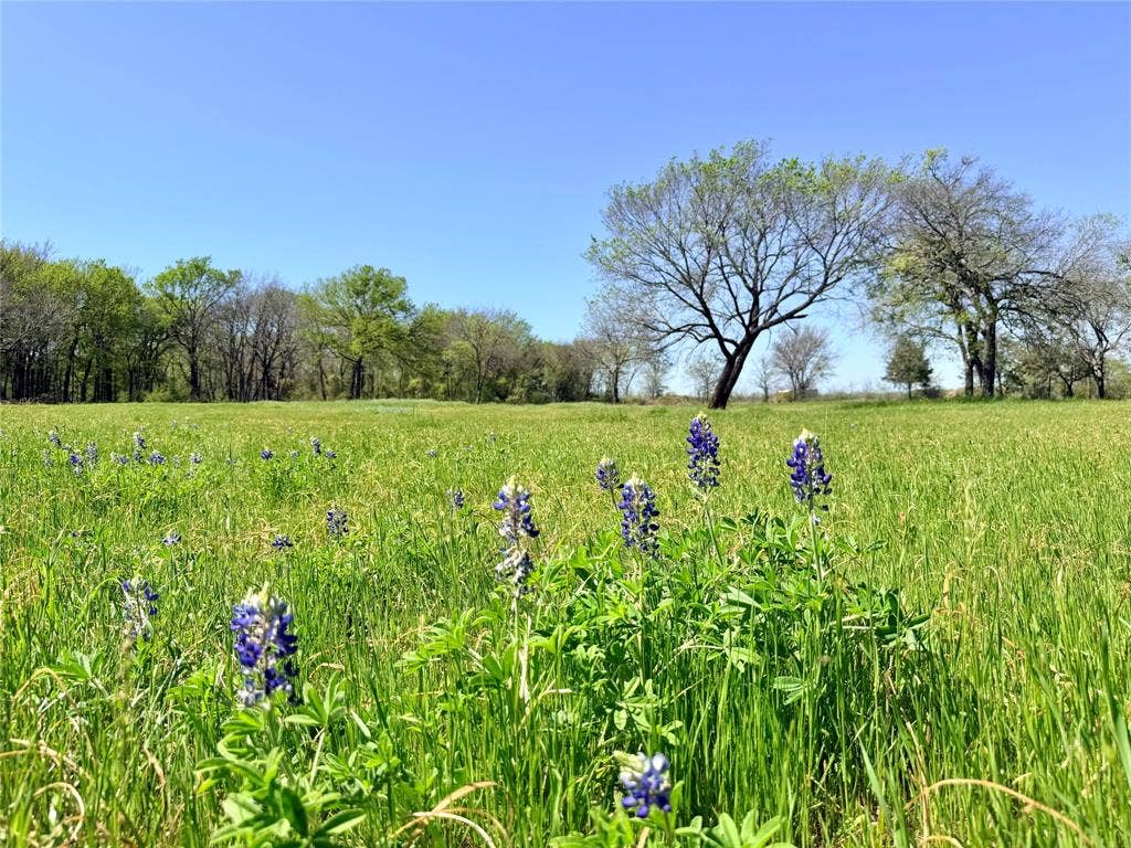 6239-B Fm 879, Ennis, TX 75119 6239-B Fm 879, Ennis, TX 75119
