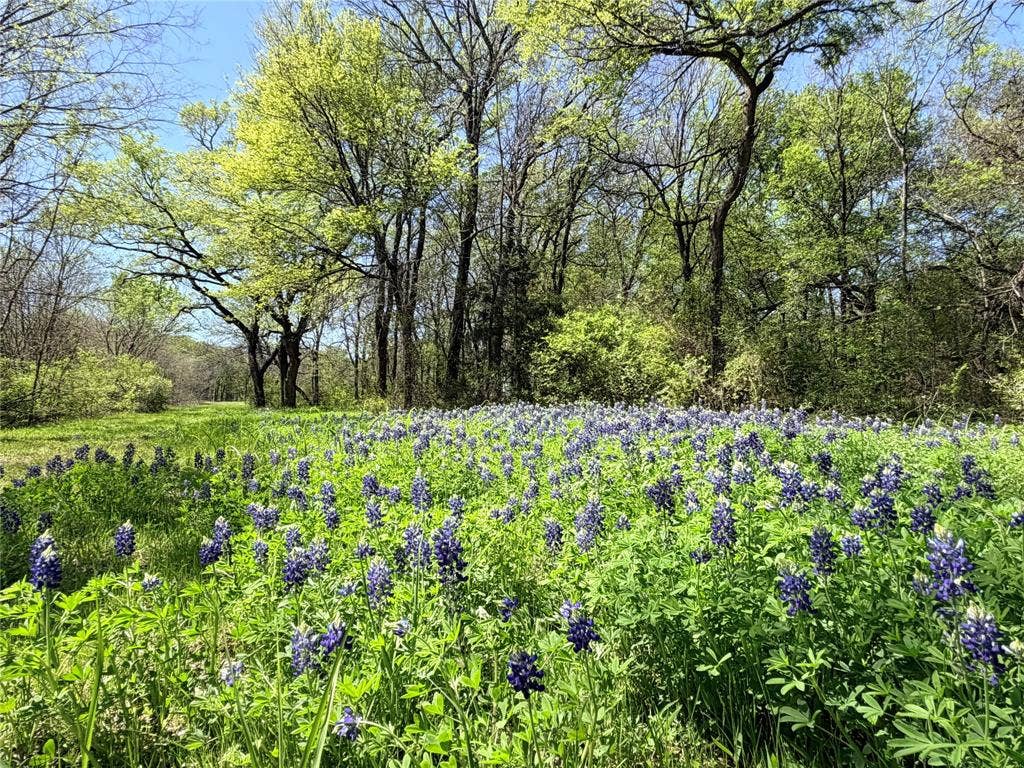 6239-B Fm 879, Ennis, TX 75119 6239-B Fm 879, Ennis, TX 75119