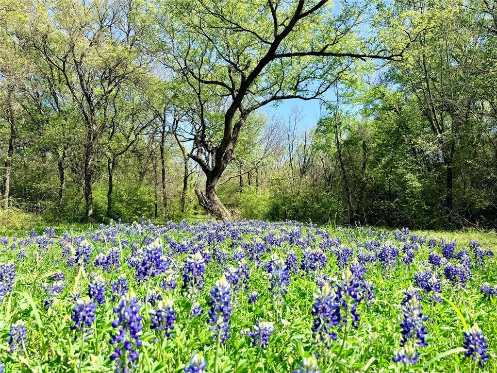 6239-B Fm 879, Ennis, TX 75119 6239-B Fm 879, Ennis, TX 75119