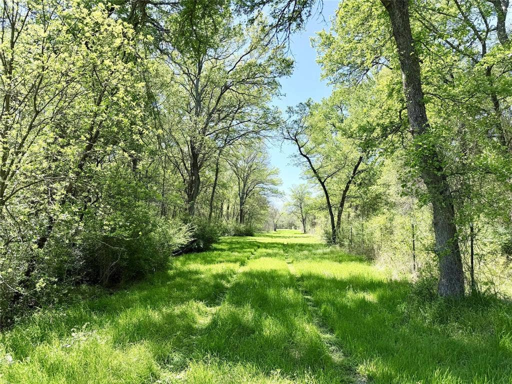 6239-B Fm 879, Ennis, TX 75119 6239-B Fm 879, Ennis, TX 75119