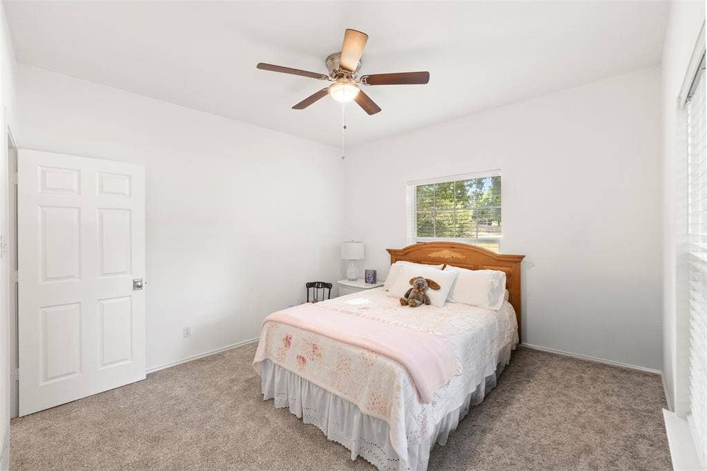Ceiling fan with wood-finish blades, white paneled door, window with blinds, and carpeted flooring