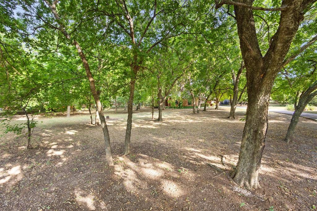 Expansive outdoor area featuring numerous mature trees and dappled sunlight