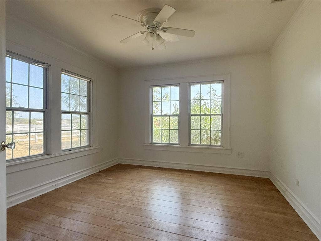 Wood-finish flooring, multiple pane windows, crown molding, and a ceiling fan