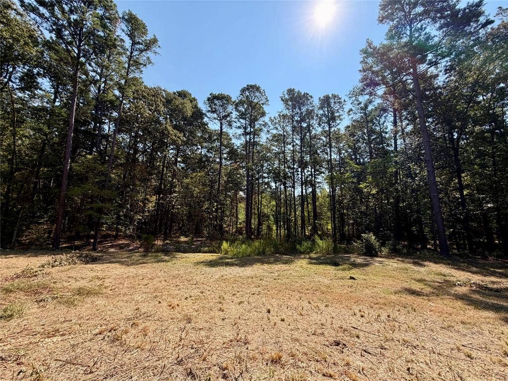 18084 Deer Trail, Flint, TX 75762 18084 Deer Trail, Flint, TX 75762