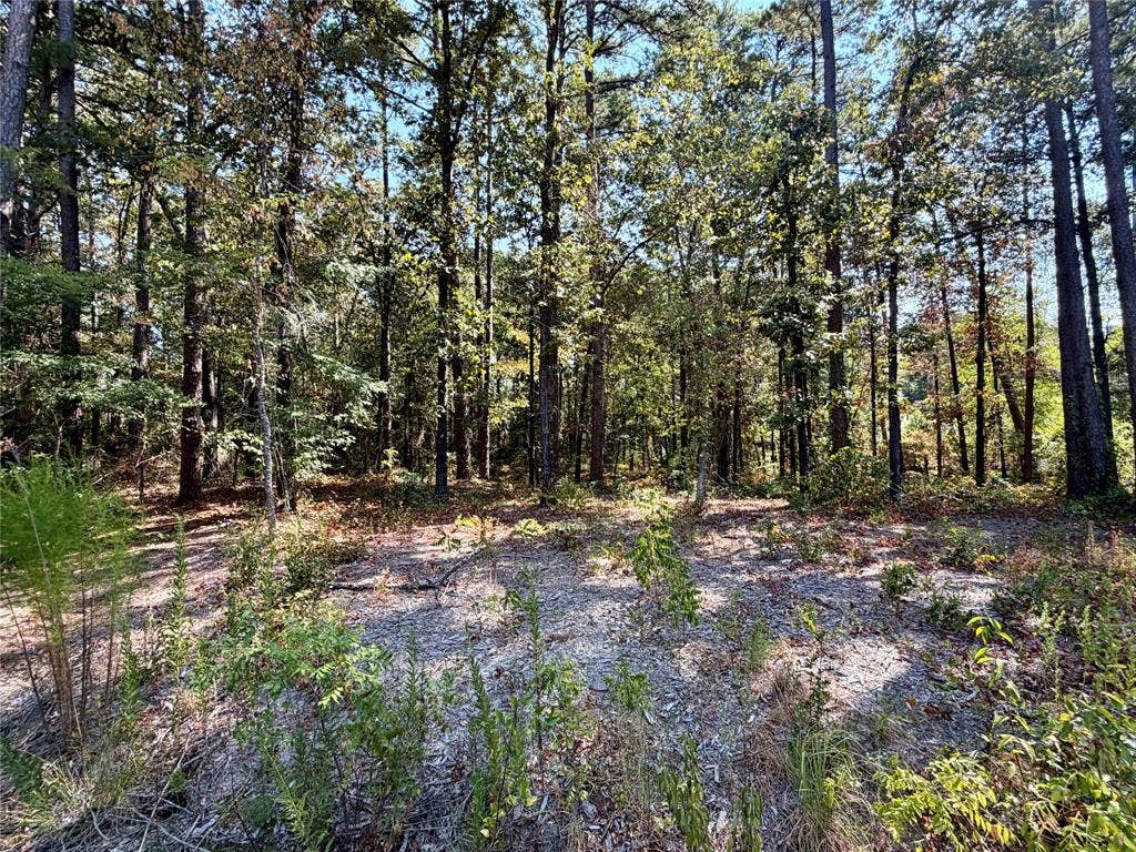 18084 Deer Trail, Flint, TX 75762 18084 Deer Trail, Flint, TX 75762