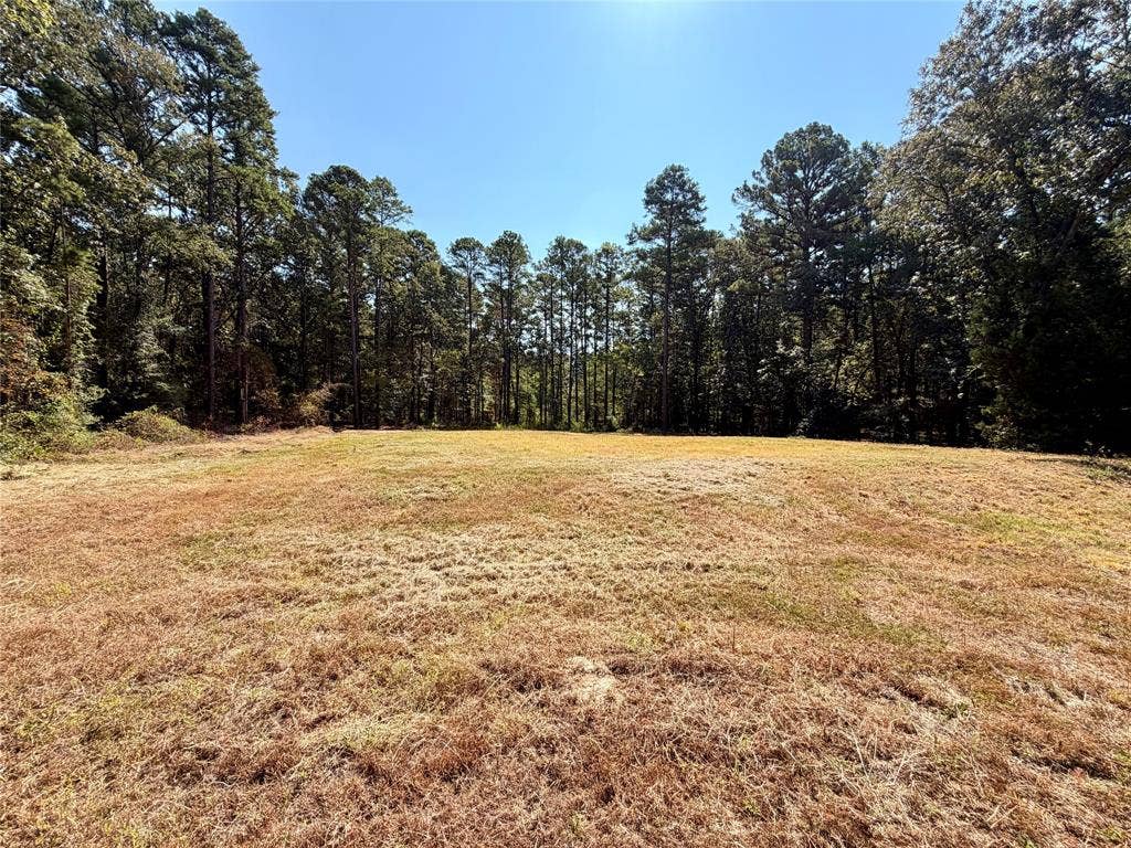 18084 Deer Trail, Flint, TX 75762 18084 Deer Trail, Flint, TX 75762