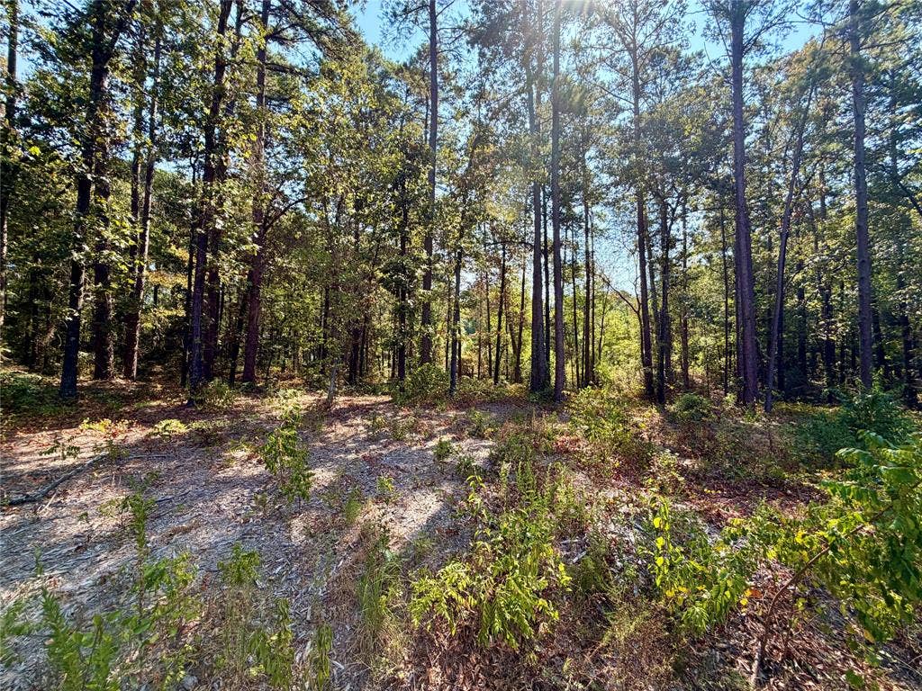 18084 Deer Trail, Flint, TX 75762 18084 Deer Trail, Flint, TX 75762