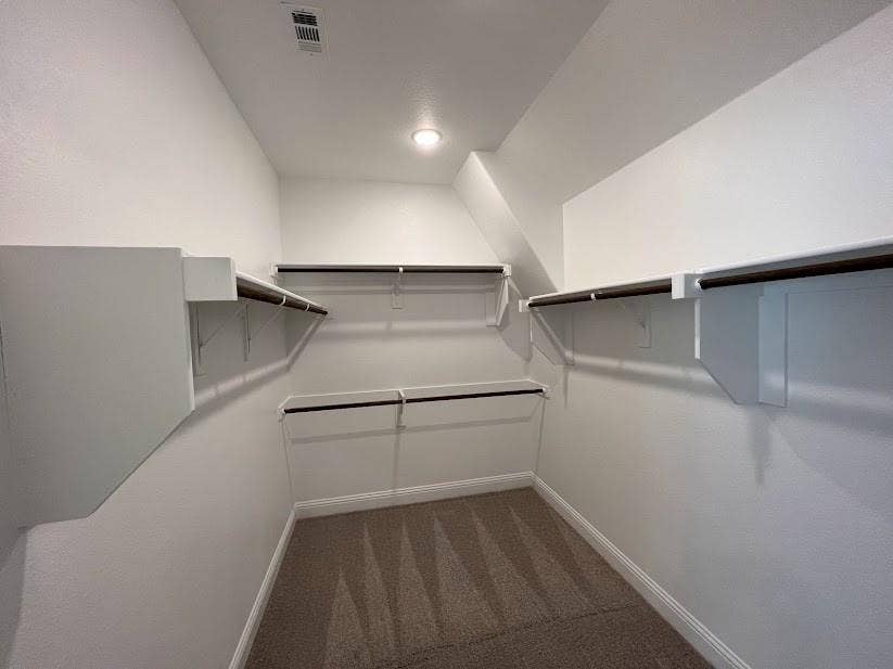 1408 Rendyn Street, Anna, TX 75409 Walk-in closet featuring carpet flooring, built-in shelving, and hanging rods