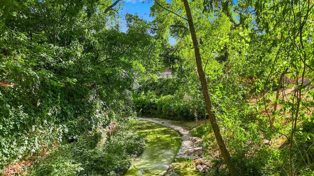 The Creek!  Your Slice of Texas Breauty!