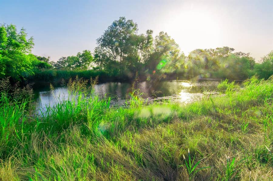 Property photo for TBD Cartwright Road, Avalon, TX