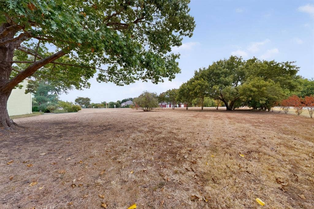 2 Trailridge Drive, Melissa, TX 75454 Expansive open land featuring mature trees and established perimeter shrubbery