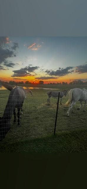 1240 Union Hill Road, Ennis, TX 75119 1240 Union Hill Road, Ennis, TX 75119