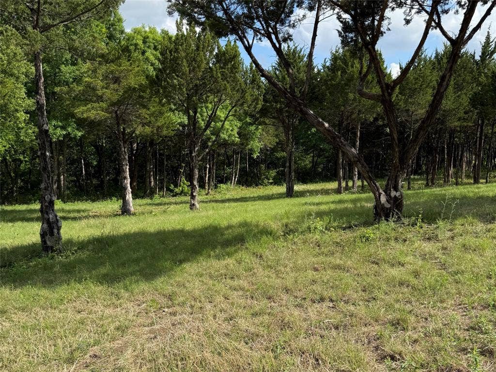 721 Rayburn Drive, DeSoto, TX 75115 721 Rayburn Drive, DeSoto, TX 75115