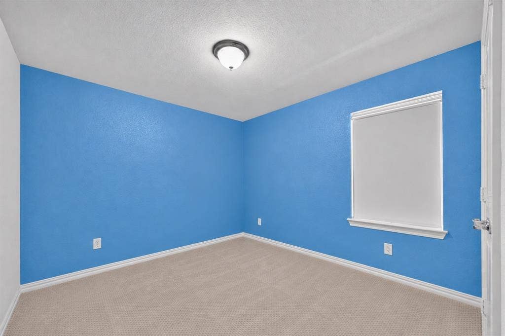 2025 Lake Front Trail, Garland, TX 75043 Textured blue wall finish