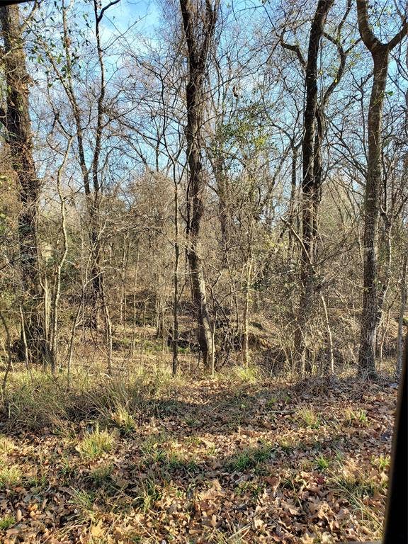 0 Wood Lane, Mabank, TX 75156 0 Wood Lane, Mabank, TX 75156