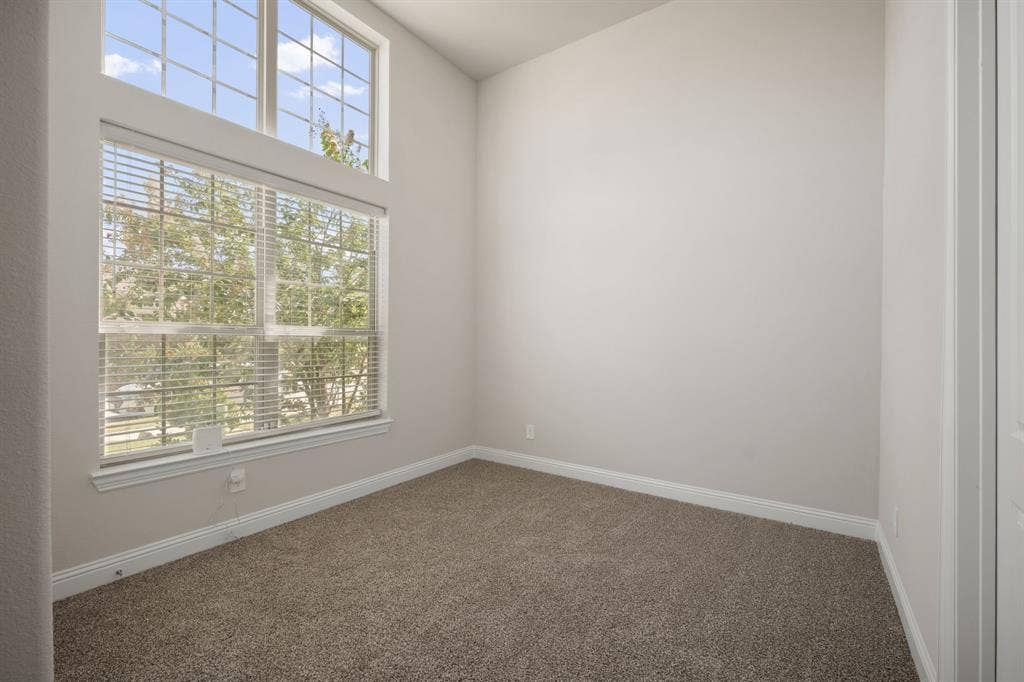 High ceilings with an upper transom window, large window with blinds, neutral carpet flooring, and white trim
