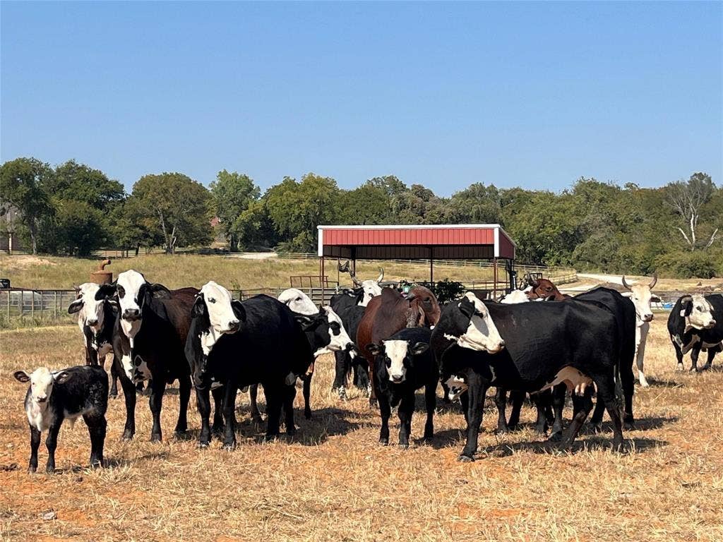 TBD # 12 Briar Road, Azle, TX 76020 TBD # 12 Briar Road, Azle, TX 76020