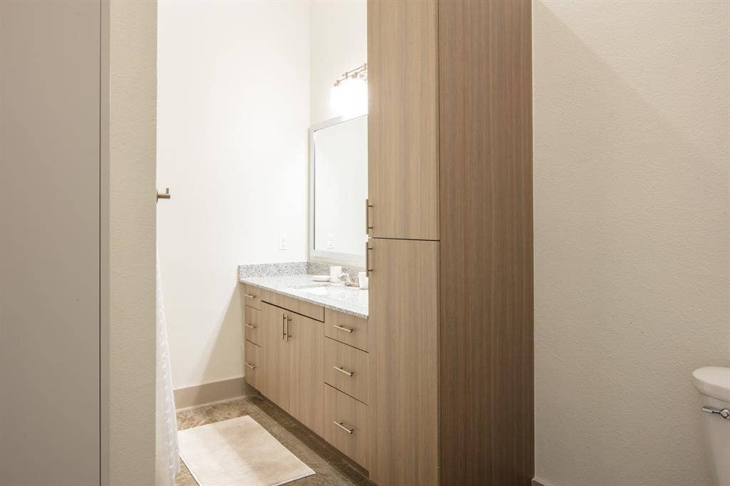 830 N Zang Boulevard, #1117, Dallas, TX 75208 Bathroom featuring vanity and toilet