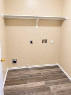 Wood-finish flooring, wall-mounted shelving, and utility hookups