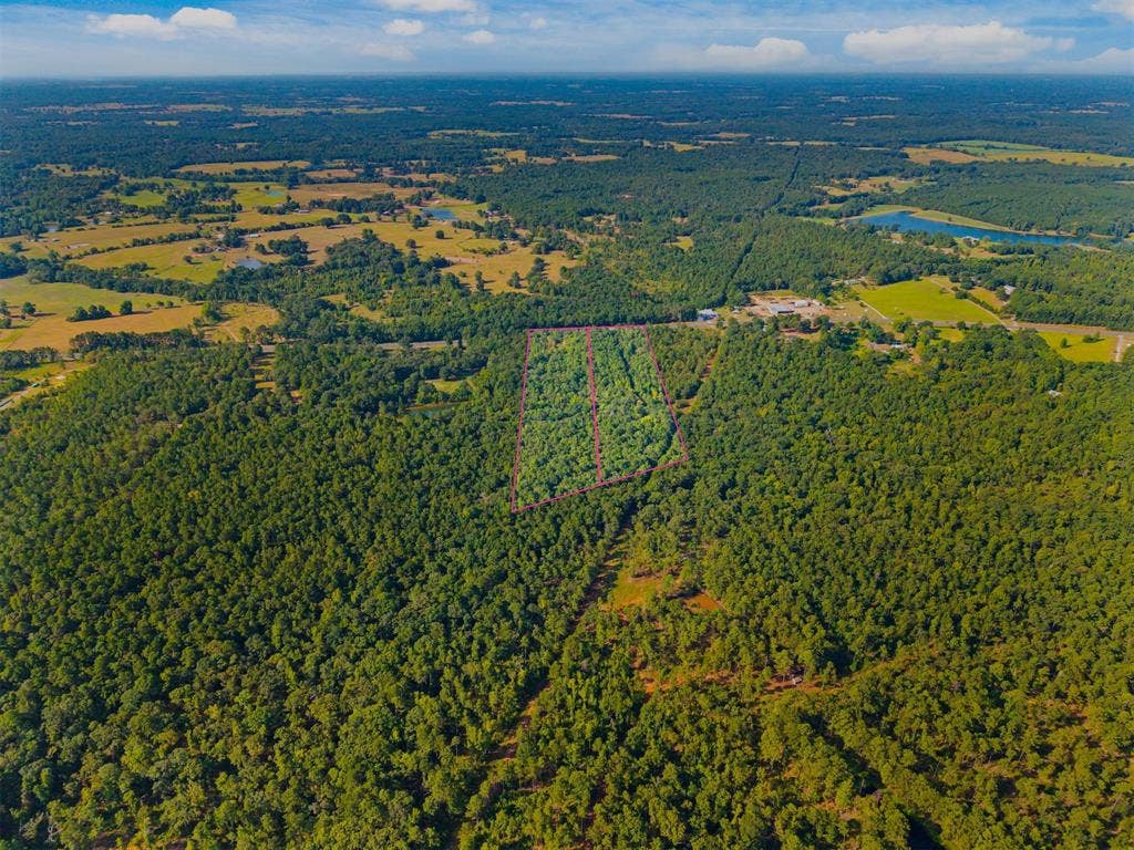 23791 State Highway 64 E, Troup, TX 75789 Expansive wooded acreage with clearly delineated property lines