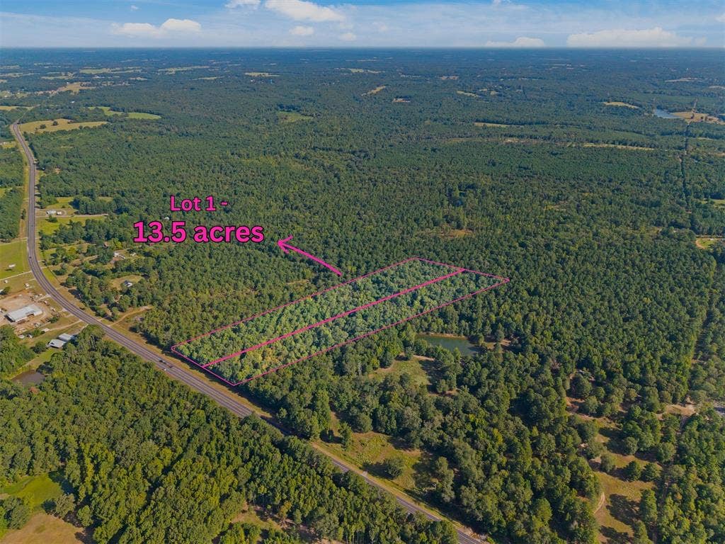 23791 State Highway 64 E, Troup, TX 75789 Expansive wooded acreage with a defined boundary, featuring a small pond and highway frontage