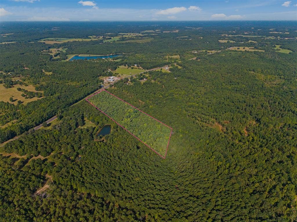 23791 State Highway 64 E, Troup, TX 75789 Expansive land parcel featuring dense tree coverage, a small pond, and clear property boundary markings
