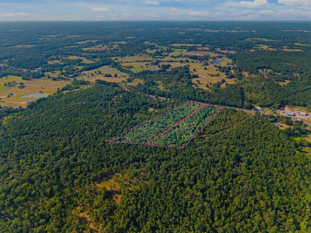 23791 State Highway 64 E, Troup, TX 75789 Expansive wooded acreage with a distinct boundary