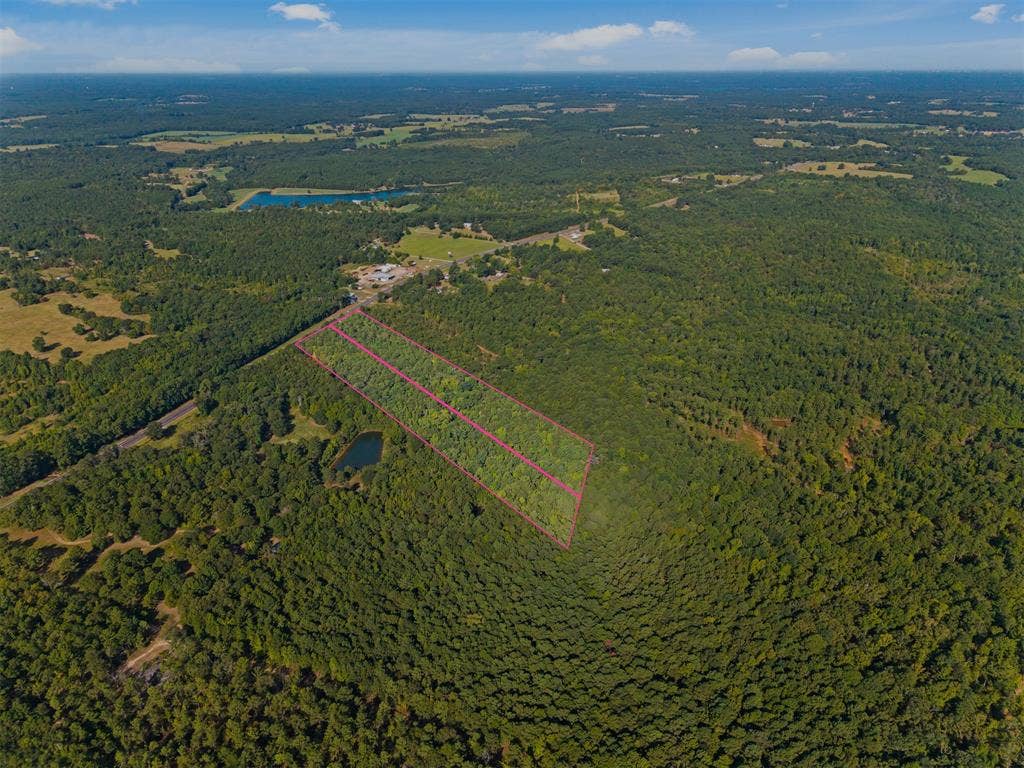 23791 State Highway 64 E, Troup, TX 75789 Expansive land parcel featuring dense tree coverage