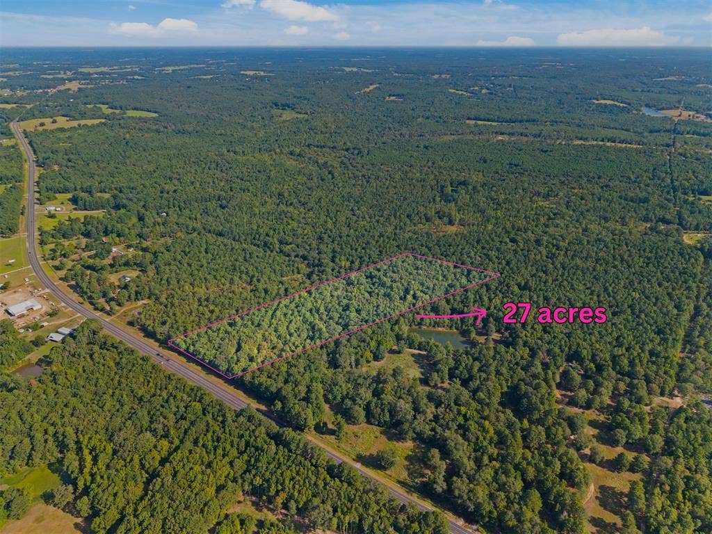 23791 State Highway 64 E, Troup, TX 75789 Expansive 27-acre wooded property featuring a private pond and direct road frontage